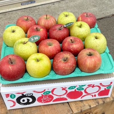 【青森市産　完熟葉とらずふじ・王林】 約5kg 16～24玉(家庭用)