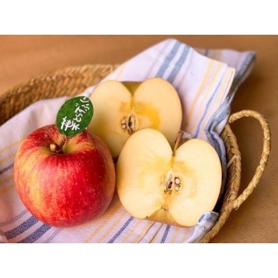 【青森市産　完熟葉とらずふじ・王林】 約5kg 16～24玉(家庭用)