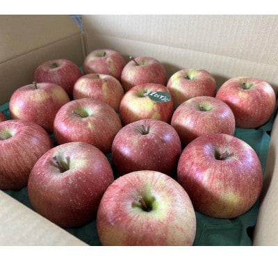 当園人気第1位!!【青森市産 完熟葉とらずふじ】　約5kg　16～23玉 (家庭用)