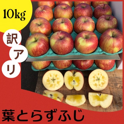 当園人気第1位!!【青森市産 完熟葉とらずふじ】　約10kg　32～43玉 (家庭用)
