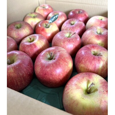 【青森市産】りんご 完熟葉とらずふじ 約10kg (家庭用)