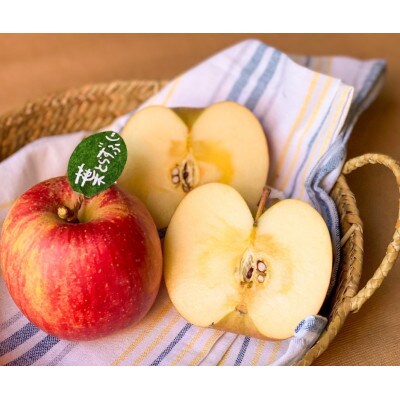 【青森市産】りんご 完熟葉とらずふじ 約10kg (家庭用)