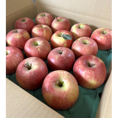 当園人気第1位!!【青森市産 完熟葉とらずふじ】　約10kg　32～43玉 (家庭用)