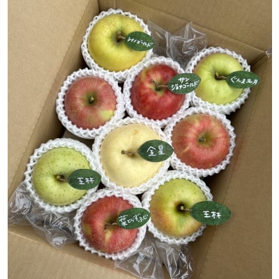 先行受付【青森市産・5品種詰め合わせ】約3kg(家庭用)