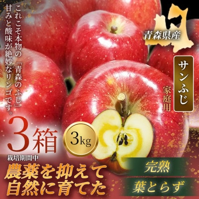 【青森直送 季節の味覚をお届け!】サンふじ 3kg×3箱(家庭用)青森産 産地直送 限定生産