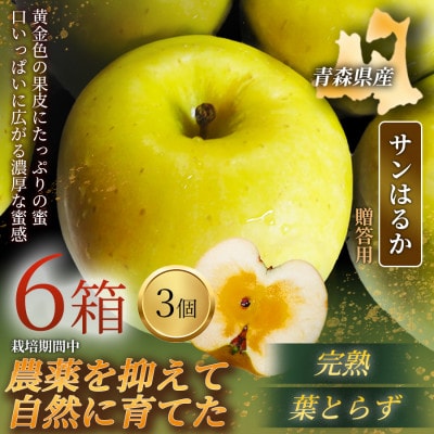 【青森直送 季節の味覚をお届け!】サンはるか 3個入×6箱(贈答用)青森産 産地直送 限定生産