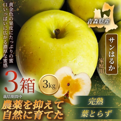 【青森直送 季節の味覚をお届け!】サンはるか 3kg×3箱(家庭用)青森産 産地直送 限定生産