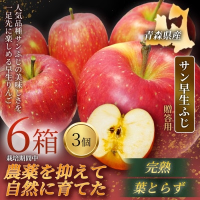 【青森直送 季節の味覚をお届け】サン早生ふじ 3個入×6箱(贈答用)2026年産 産地直送 限定生産