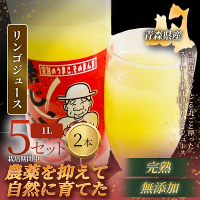 【栽培期間中農薬を減らしたりんごを丸ごと使用】リンゴジュース(1L×2本)5セット 青森産 限定生産