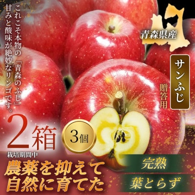 【青森直送 季節の味覚をお届け!】サンふじ 3個入×2箱(贈答用)青森産 産地直送 限定生産