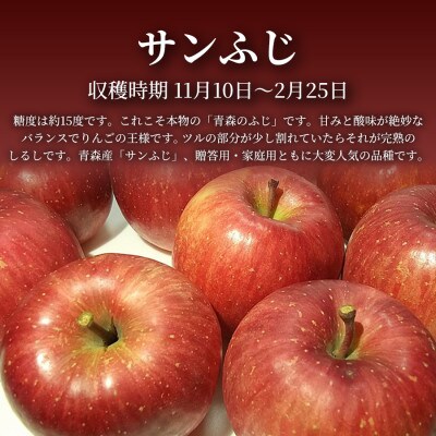 【青森直送 季節の味覚をお届け!】サンふじ 3個入×2箱(贈答用)青森産 産地直送 限定生産