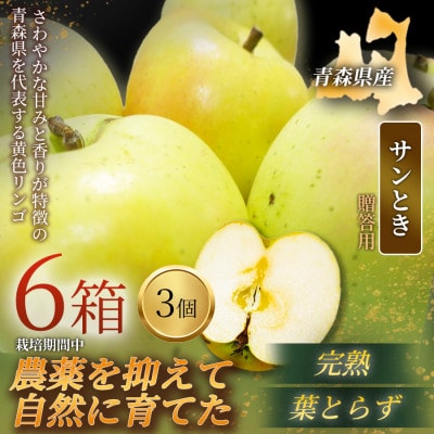 【青森直送 季節の味覚をお届け!】サンとき 3個入×6箱(贈答用)青森産 産地直送 限定生産