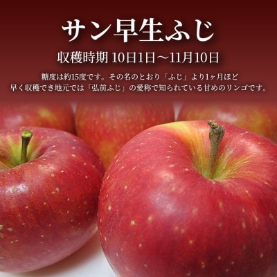 【青森直送 季節の味覚をお届け】サン早生ふじ 5kg×1箱(家庭用)2026年産 産地直送 限定生産