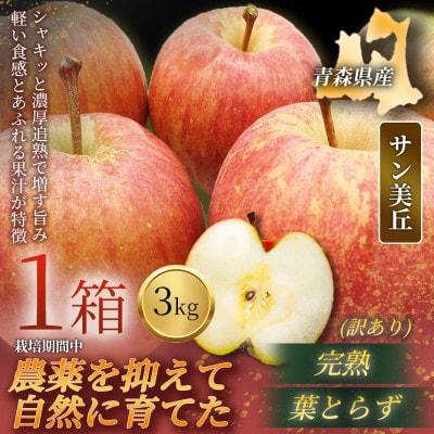 【青森直送 季節の味覚をお届け!】サン美丘 3kg×1箱(訳あり)青森産 産地直送 限定生産