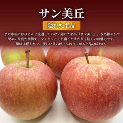 【青森直送 季節の味覚をお届け!】サン美丘 3kg×1箱(訳あり)青森産 産地直送 限定生産