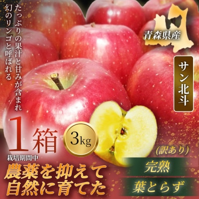 【青森直送 季節の味覚をお届け!】サン北斗(幻のサン北斗)3kg×1箱(訳あり)青森産 産地直送