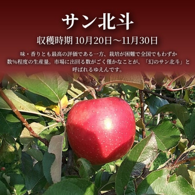【青森直送 季節の味覚をお届け!】サン北斗(幻のサン北斗)3kg×1箱(訳あり)青森産 産地直送
