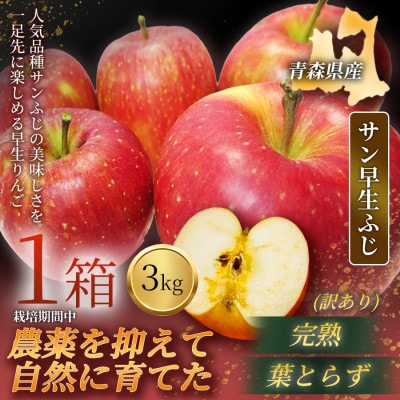 【青森直送 季節の味覚をお届け】サン早生ふじ 3kg×1箱(訳あり)2026年産 産地直 限定生産