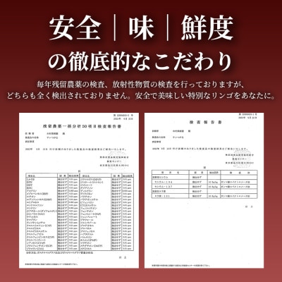 【栽培期間中農薬を減らしたりんごを丸ごと使用!】リンゴジュース(180ml×30本)×1セット