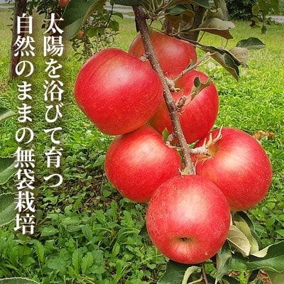 【栽培期間中農薬を減らしたりんごを丸ごと使用!】リンゴジュース(180ml×30本)×1セット