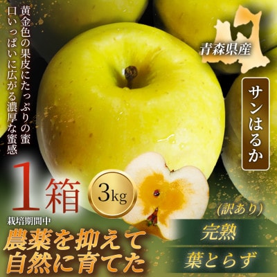 【青森直送 季節の味覚をお届け!】サンはるか 3kg×1箱(訳あり)青森産 産地直送 限定生産