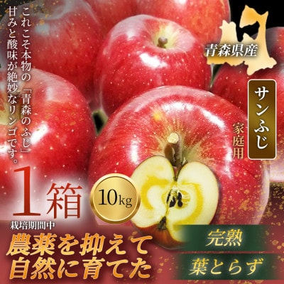 【青森直送 季節の味覚をお届け!】サンふじ 10kg (家庭用) 1箱 青森産 産地直送 限定生産