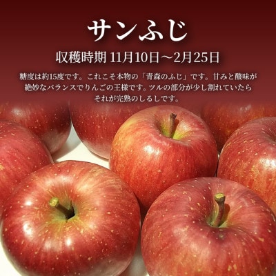 【青森直送 季節の味覚をお届け!】サンふじ 10kg (家庭用) 1箱 青森産 産地直送 限定生産