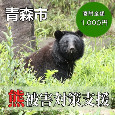 【返礼品なし】クマによる被害を防ぐ～クマ対策へのご支援を～　1,000円