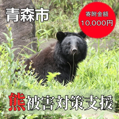 【返礼品なし】クマによる被害を防ぐ～クマ対策へのご支援を～　10,000円