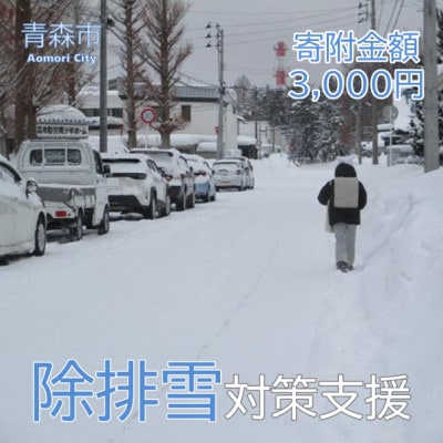 【返礼品なし】世界一の豪雪都市!雪に強い持続可能な都市づくり　3,000円