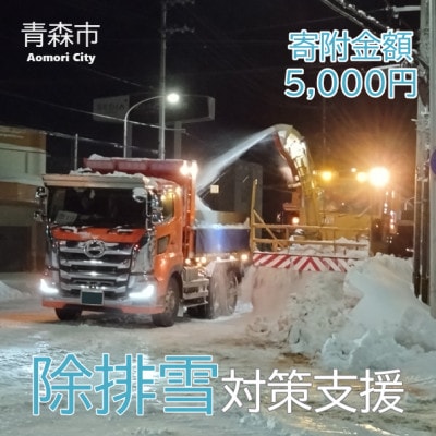 【返礼品なし】世界一の豪雪都市!雪に強い持続可能な都市づくり 　5,000円
