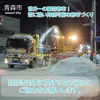 【返礼品なし】世界一の豪雪都市!雪に強い持続可能な都市づくり 　5,000円