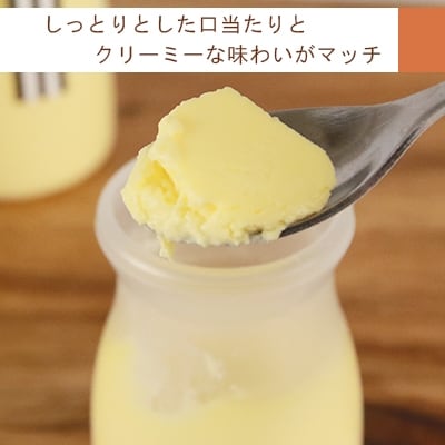 ライダーにも人気!とろとろプリン5種10個セット<とらや菓子司>