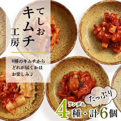 てしおキムチ工房・キムチおまかせ6種セット★ ＜天塩の國＞