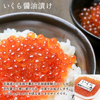 天塩の國ブランド いくら醤油漬け たらこ白醤油漬け 各500g お礼品詳細 ふるさと納税なら さとふる