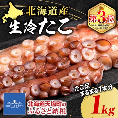 北海道 ☆天塩町産たこ足1kg | ふるさと納税のお礼品
