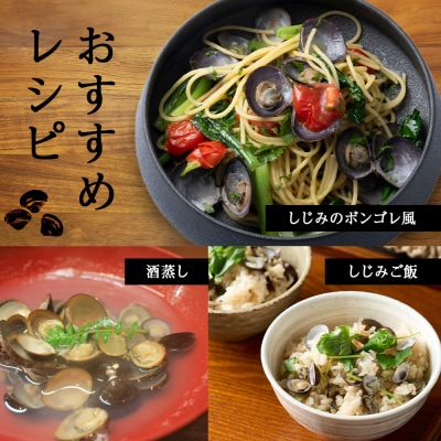 復活!天塩町名産冷凍しじみ「特大貝桐箱入り」1kg<北るもい漁業協同組合　天塩支所>