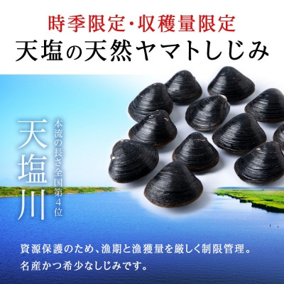 復活!天塩町名産冷凍しじみ「特大貝桐箱入り」1kg<北るもい漁業協同組合　天塩支所>