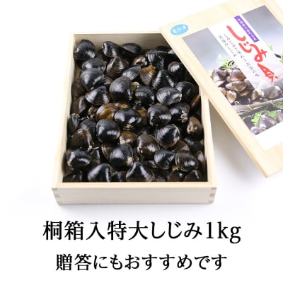 復活!天塩町名産冷凍しじみ「特大貝桐箱入り」1kg<北るもい漁業協同組合　天塩支所>