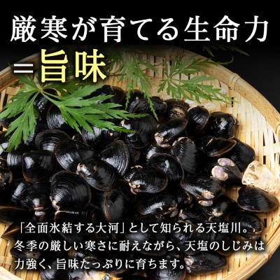 天塩町名産冷凍しじみ[特大サイズ](400g)5パック入り