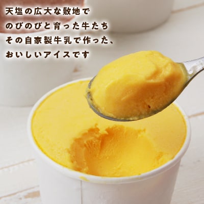 アイスセット(おまかせ8種)(容量:120g×8個(季節によってセレクト)
