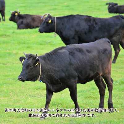 黒毛和牛 サーロイン ステーキ A4 等級 天塩牛(約200g×2)<計良商事>