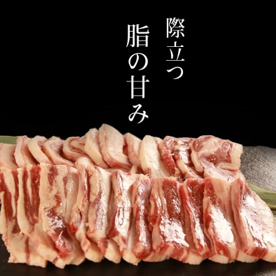 せせらぎサフォーク(国産ホゲット)バラ肉 300g×2＜計良商事＞