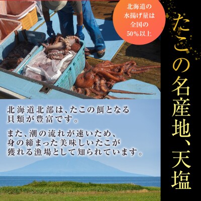 12月発送先行受付 自信作!天塩産たこ足4本セット＜浪岡屋＞【BP007】
