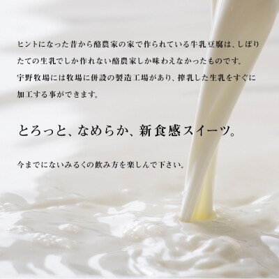 トロケッテ・ウーノ プレーン&いちご 合計6個