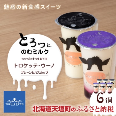 トロケッテ・ウーノ プレーン&ハスカップ 合計6個