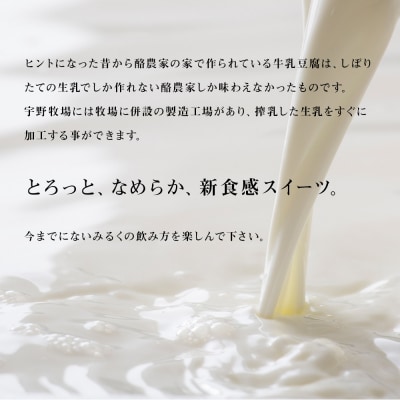 トロケッテ・ウーノ プレーン&ハスカップ 合計6個