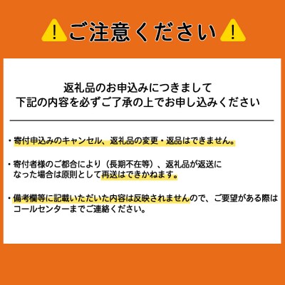トロケッテ・ウーノ プレーン&ハスカップ 合計6個
