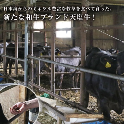 黒毛和牛 天塩和牛 すき焼き・焼肉 用 肩ロース (約500g) ＜早坂ファーム＞肉 牛肉 北海道産