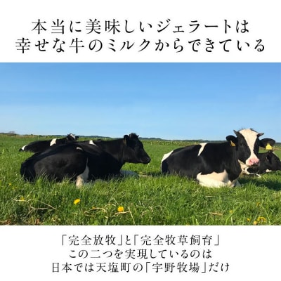 幸せな牛のミルクからできたジェラート パティシエおすすめ6個セット